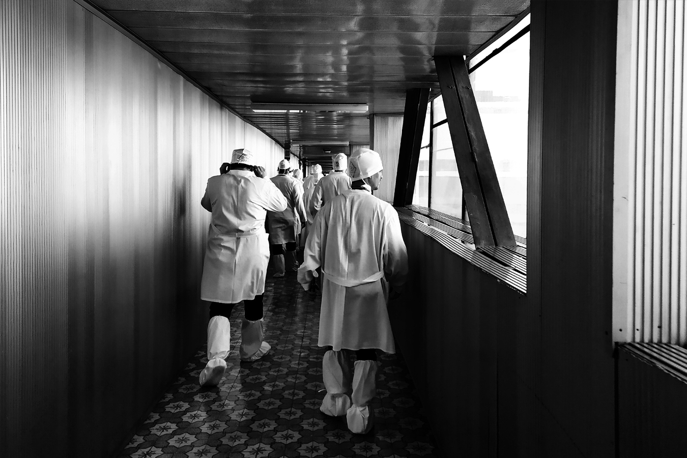 White Walkers: Foggy Chernobyl landscape, B&W documentary | Černobylská krajina v mlze – Vojmír Blažek